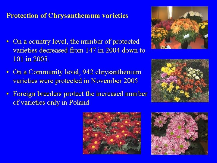 Protection of Chrysanthemum varieties • On a country level, the number of protected varieties