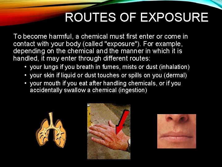 ROUTES OF EXPOSURE To become harmful, a chemical must first enter or come in