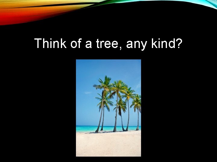 Think of a tree, any kind? 