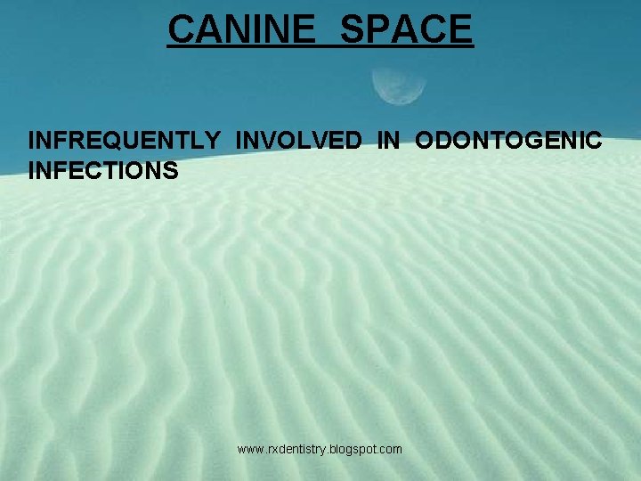 CANINE SPACE INFREQUENTLY INVOLVED IN ODONTOGENIC INFECTIONS www. rxdentistry. blogspot. com 