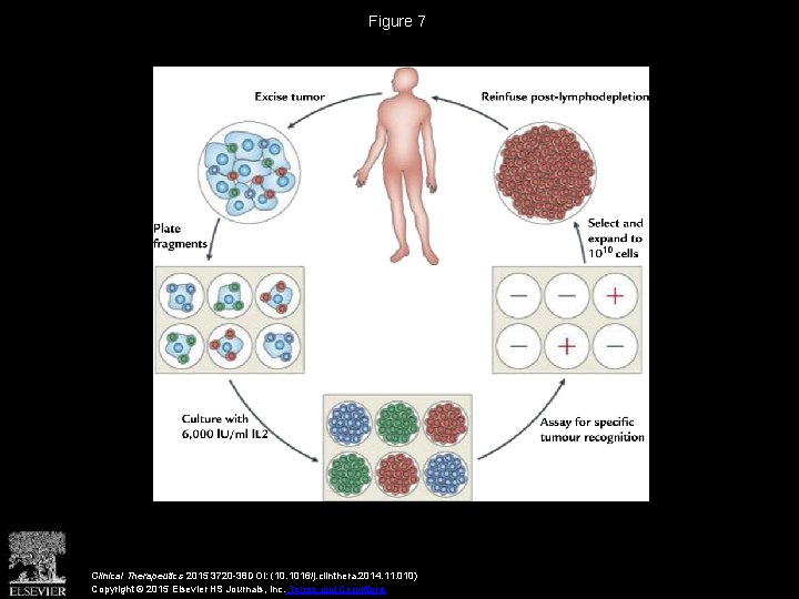 Figure 7 Clinical Therapeutics 2015 3720 -38 DOI: (10. 1016/j. clinthera. 2014. 11. 010)