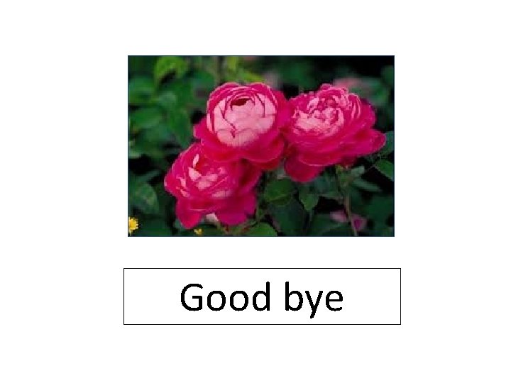 Good bye 
