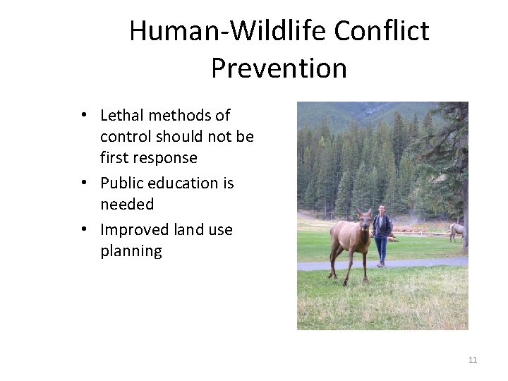 Human-Wildlife Conflict Prevention • Lethal methods of control should not be first response •