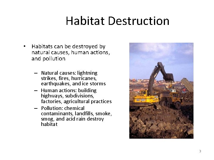 Habitat Destruction • Habitats can be destroyed by natural causes, human actions, and pollution