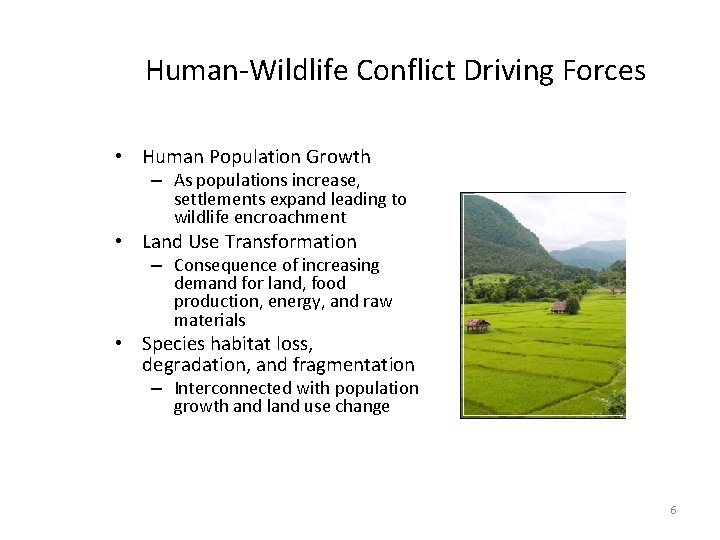 Human-Wildlife Conflict Driving Forces • Human Population Growth – As populations increase, settlements expand