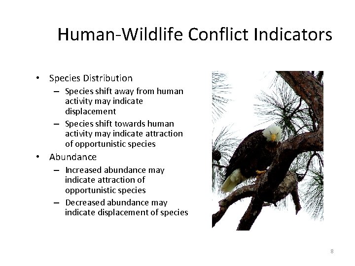 Human-Wildlife Conflict Indicators • Species Distribution – Species shift away from human activity may