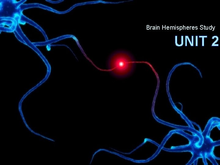 Brain Hemispheres Study UNIT 2 