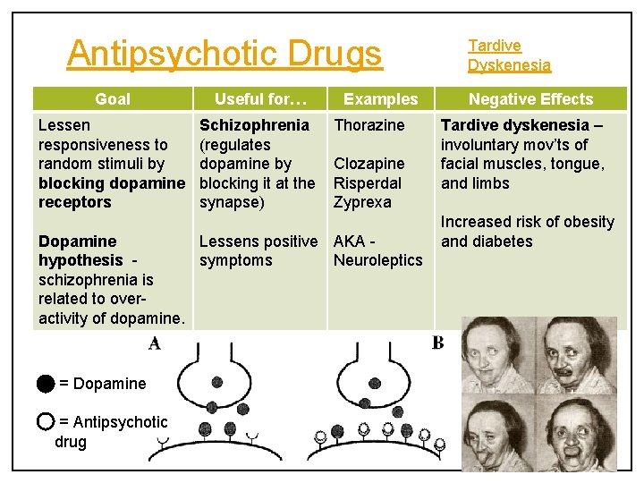 Antipsychotic Drugs Goal Useful for… Lessen responsiveness to random stimuli by blocking dopamine receptors