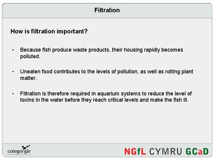 Filtration How is filtration important? • Because fish produce waste products, their housing rapidly