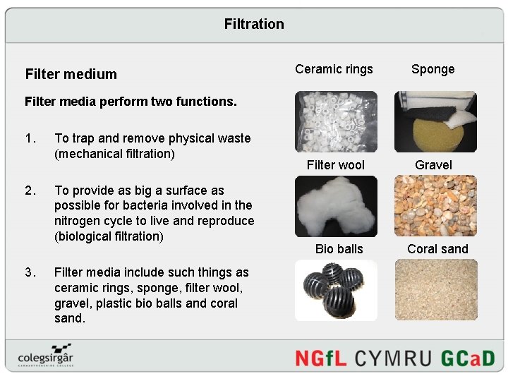 Filtration Filter medium Ceramic rings Sponge Filter wool Gravel Filter media perform two functions.