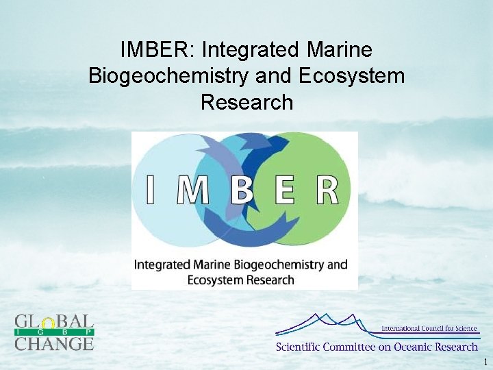 IMBER: Integrated Marine Biogeochemistry and Ecosystem Research 1 