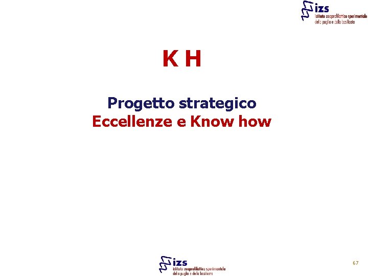 KH Progetto strategico Eccellenze e Know how 67 