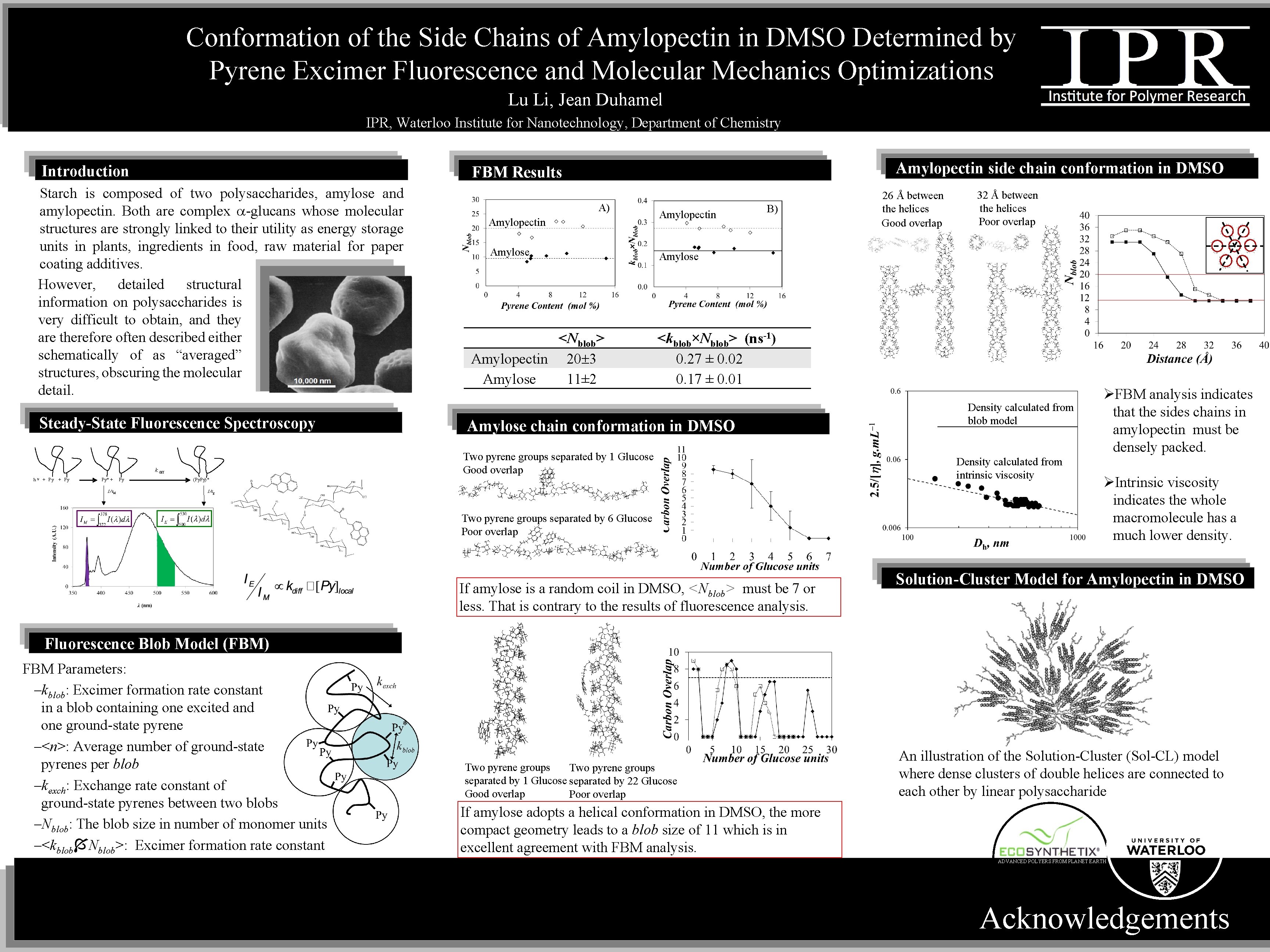 Conformation of the Side Chains of Amylopectin in DMSO Determined by Pyrene Excimer Fluorescence