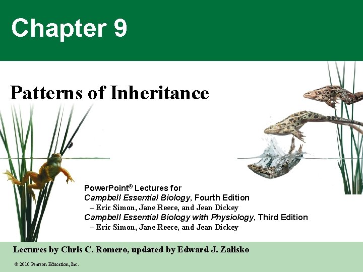 Chapter 9 Patterns of Inheritance Power. Point® Lectures for Campbell Essential Biology, Fourth Edition