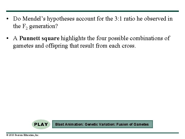  • Do Mendel’s hypotheses account for the 3: 1 ratio he observed in