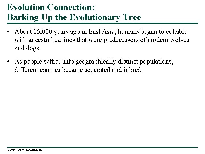 Evolution Connection: Barking Up the Evolutionary Tree • About 15, 000 years ago in