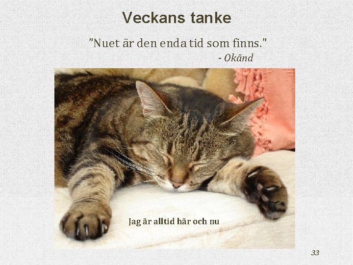 Veckans tanke ”Nuet är den enda tid som finns. ” - Okänd Jag är