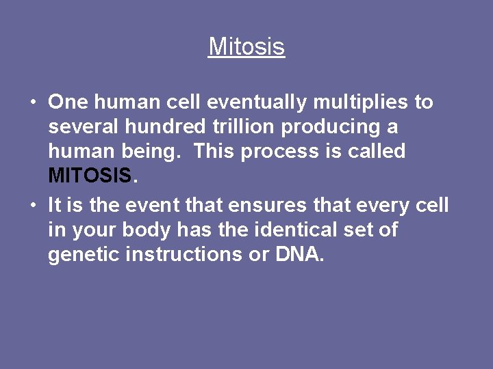 Mitosis • One human cell eventually multiplies to several hundred trillion producing a human