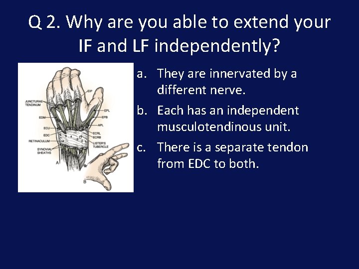 Q 2. Why are you able to extend your IF and LF independently? a.
