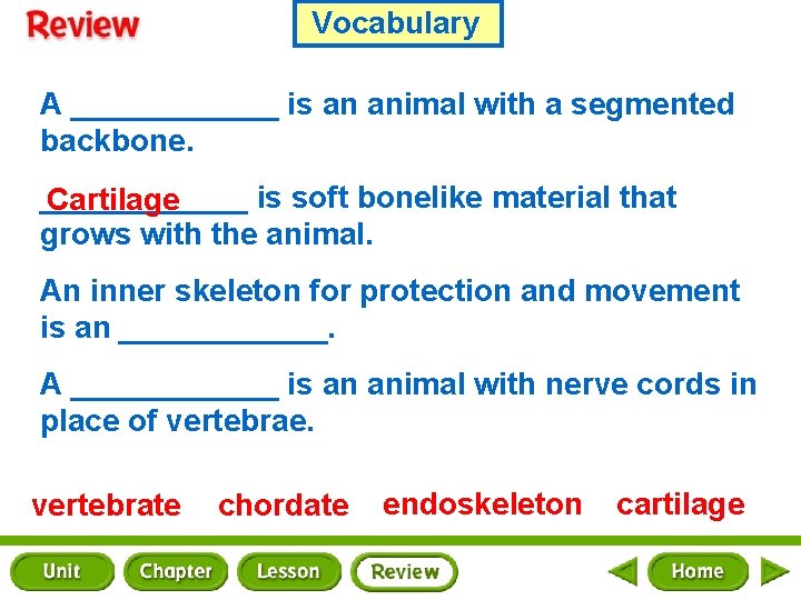 Vocabulary A ______ is an animal with a segmented backbone. ______ is soft bonelike