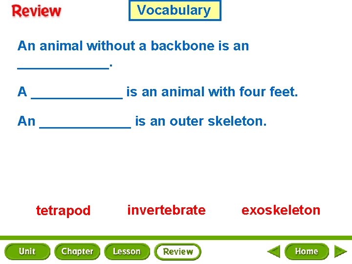 Vocabulary An animal without a backbone is an ______. A ______ is an animal