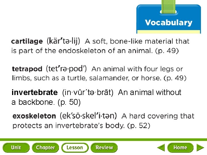 invertebrate (in·vûr΄tә·brāt) An animal without a backbone. (p. 50) 