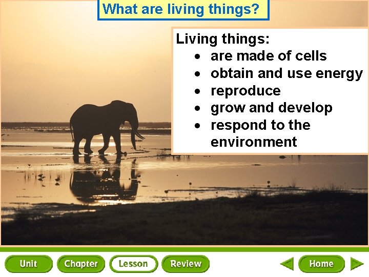 What are living things? Living things: are made of cells obtain and use energy