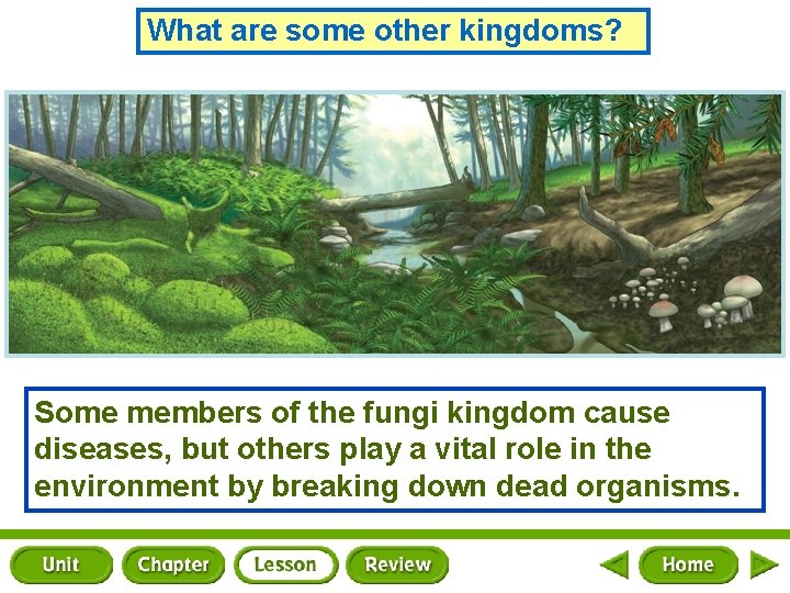 What are some other kingdoms? Some members of the fungi kingdom cause diseases, but