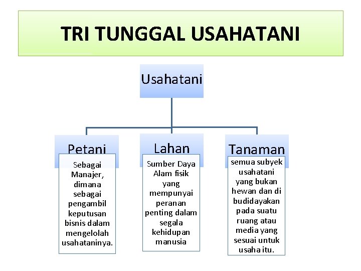 TRI TUNGGAL USAHATANI Usahatani Petani Sebagai Manajer, dimana sebagai pengambil keputusan bisnis dalam mengelolah