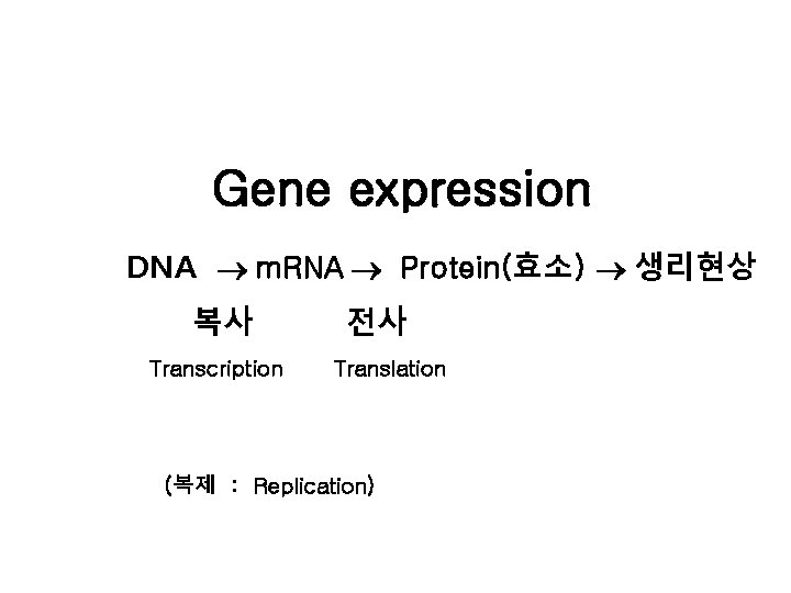 Gene expression DNA ® m. RNA ® Protein(효소) ® 생리현상 복사 Transcription 전사 Translation