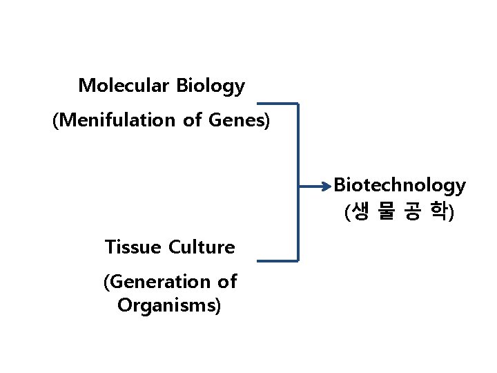 Molecular Biology (Menifulation of Genes) Biotechnology (생 물 공 학) Tissue Culture (Generation of