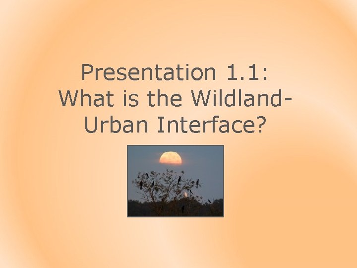Presentation 1. 1: What is the Wildland. Urban Interface? 