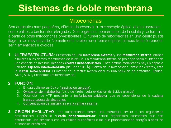 Sistemas de doble membrana Mitocondrias Son orgánulos muy pequeños, difíciles de observar al microscopio