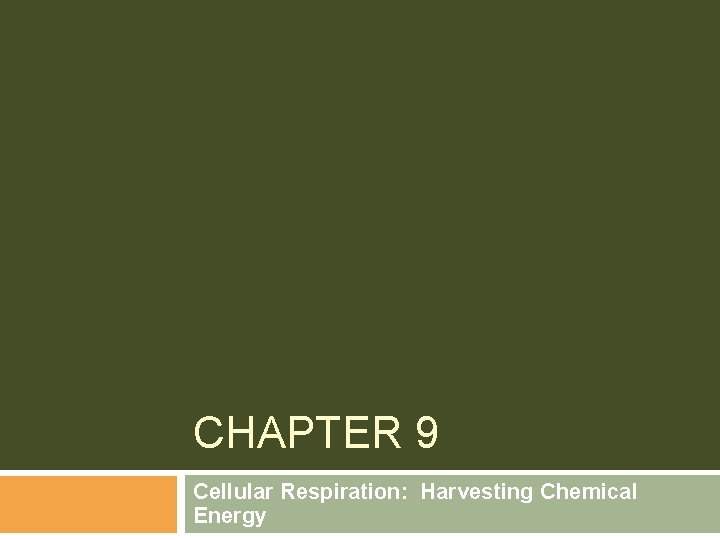 CHAPTER 9 Cellular Respiration: Harvesting Chemical Energy 