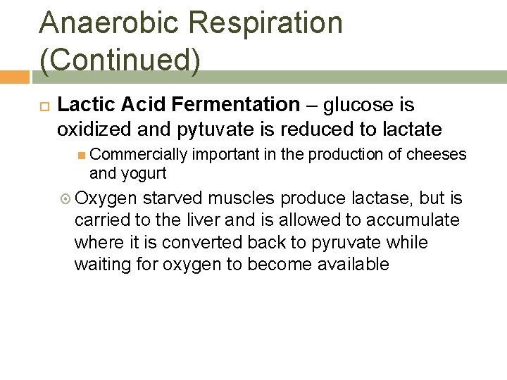 Anaerobic Respiration (Continued) Lactic Acid Fermentation – glucose is oxidized and pytuvate is reduced