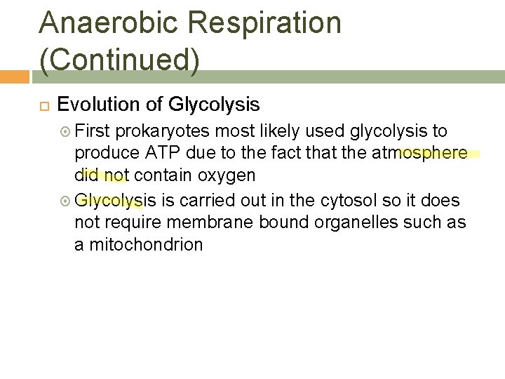 Anaerobic Respiration (Continued) Evolution of Glycolysis First prokaryotes most likely used glycolysis to produce