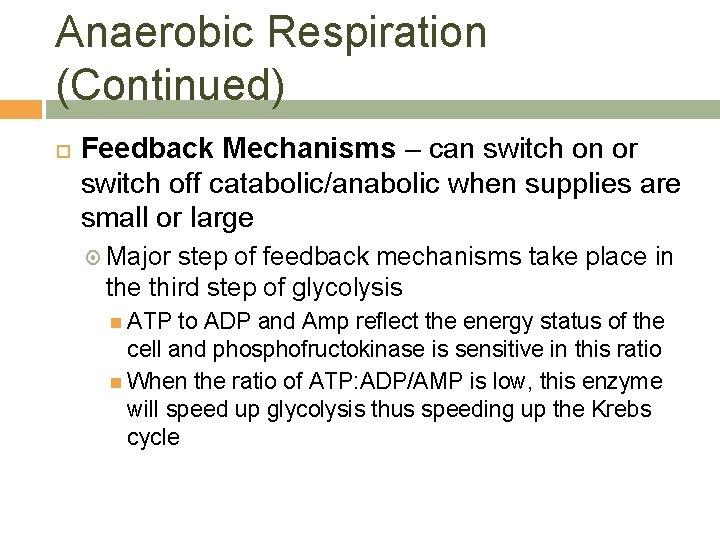 Anaerobic Respiration (Continued) Feedback Mechanisms – can switch on or switch off catabolic/anabolic when