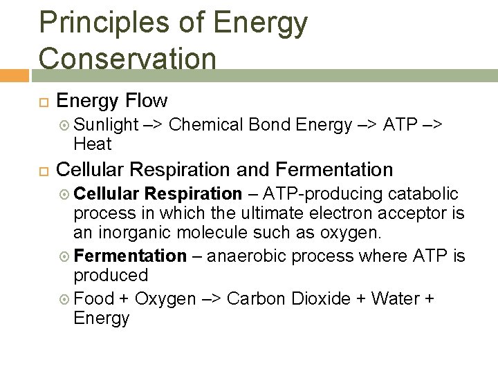 Principles of Energy Conservation Energy Flow Sunlight Heat –> Chemical Bond Energy –> ATP