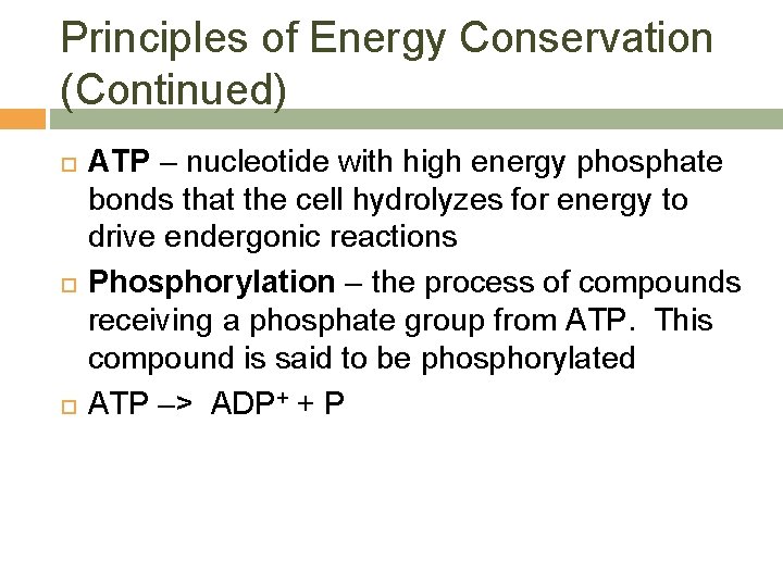 Principles of Energy Conservation (Continued) ATP – nucleotide with high energy phosphate bonds that