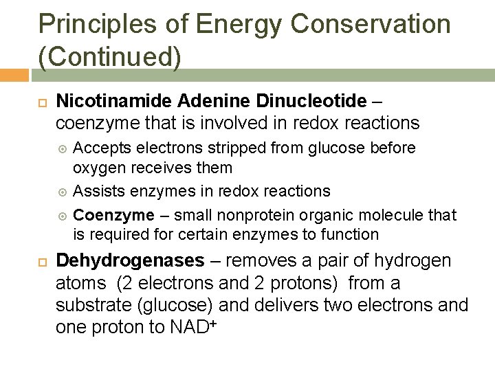 Principles of Energy Conservation (Continued) Nicotinamide Adenine Dinucleotide – coenzyme that is involved in