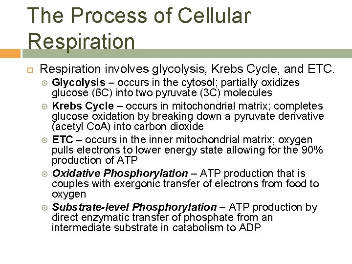 The Process of Cellular Respiration involves glycolysis, Krebs Cycle, and ETC. Glycolysis – occurs