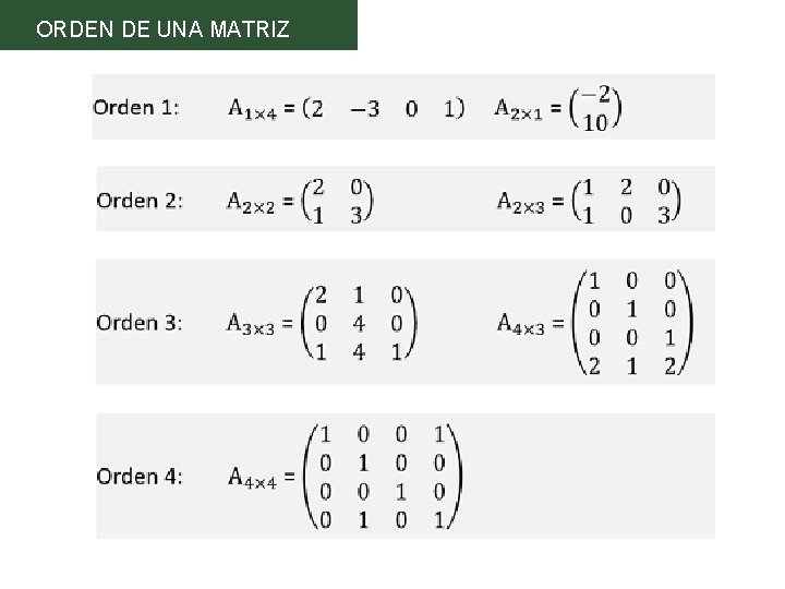 ORDEN DE UNA MATRIZ 