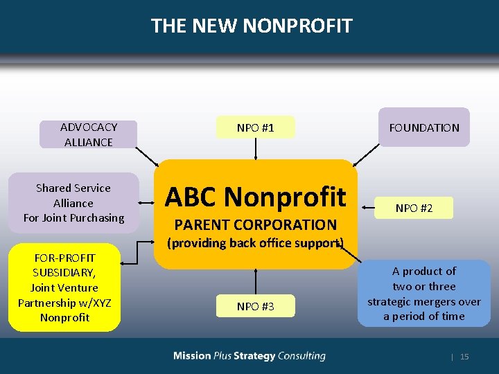 THE NEW NONPROFIT ADVOCACY ALLIANCE Shared Service Alliance For Joint Purchasing FOR-PROFIT SUBSIDIARY, Joint