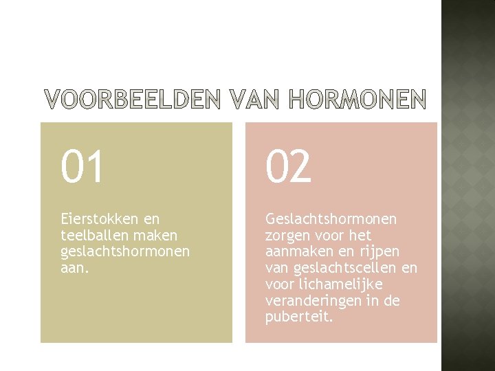 01 02 Eierstokken en teelballen maken geslachtshormonen aan. Geslachtshormonen zorgen voor het aanmaken en
