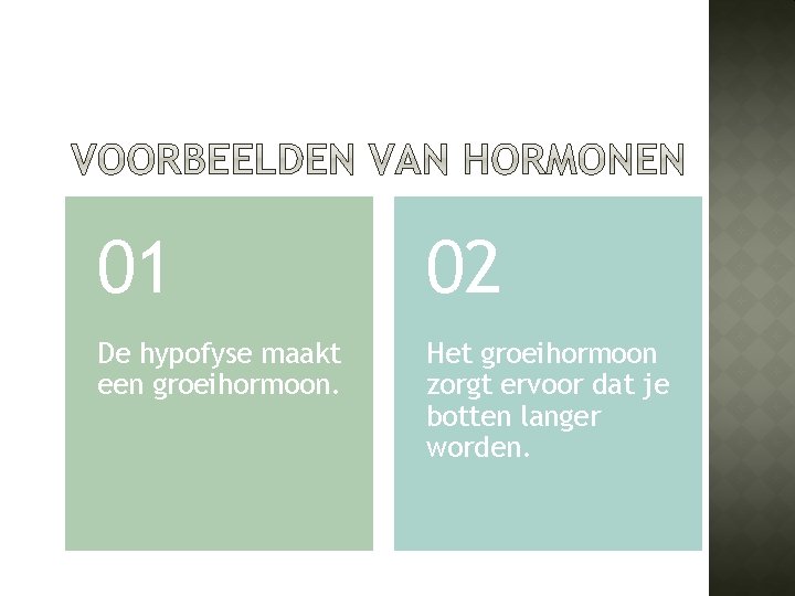 01 02 De hypofyse maakt een groeihormoon. Het groeihormoon zorgt ervoor dat je botten