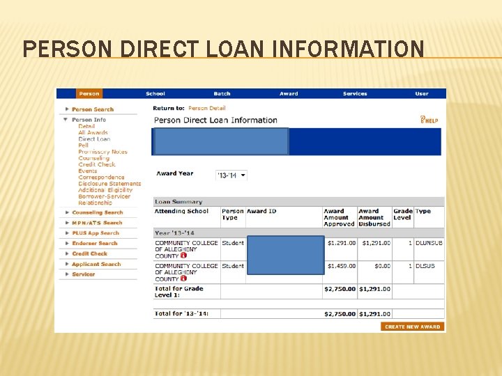 PERSON DIRECT LOAN INFORMATION 