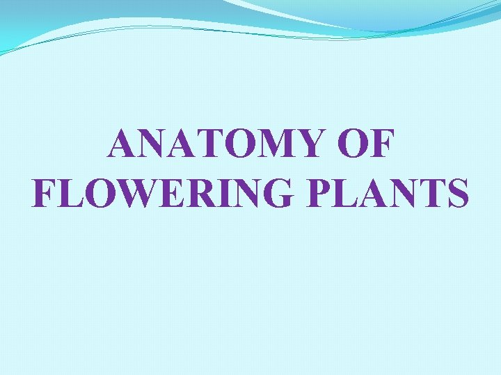 ANATOMY OF FLOWERING PLANTS 
