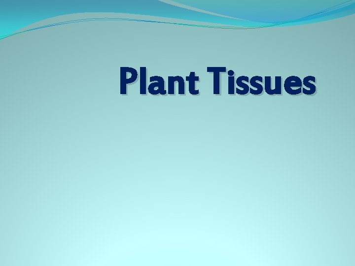 Plant Tissues 