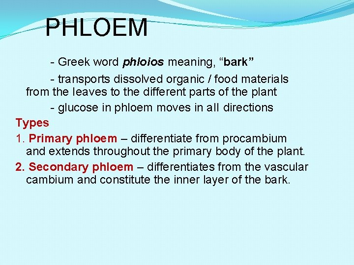 PHLOEM - Greek word phloios meaning, “bark” - transports dissolved organic / food materials