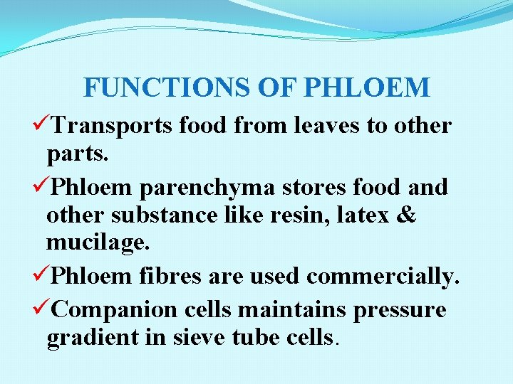 FUNCTIONS OF PHLOEM üTransports food from leaves to other parts. üPhloem parenchyma stores food